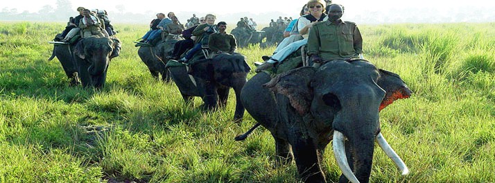 746/IORA-The Retreat - Kaziranga National Park 13.jpg